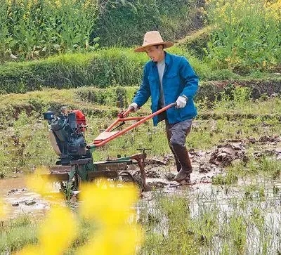 疫情防控的基本常識是什么？（疫情防控和春耕備耕兩不誤）